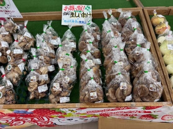 しいたけ店頭販売